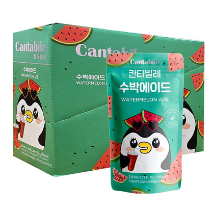 Cantabile Korean Convenience Store Pouch Drink Box of 10 Watermelon
