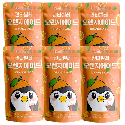 Cantabile Korean Convenience Store Pouch Drink 6 Pack of Orange