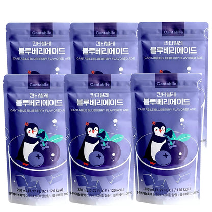 Cantabile Korean Convenience Store Pouch Drink 6 Pack of  Blueberry